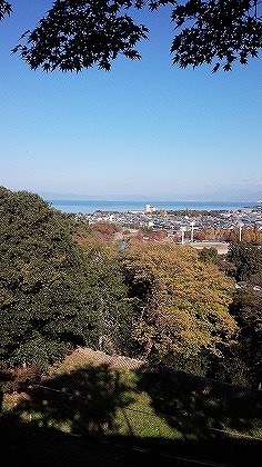 20141119hikone_03.jpg