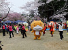 album/2016/201604_sakuramatsuri1/201604sakura01_thumb.jpg