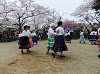 album/2016/201604_sakuramatsuri1/201604sakura04_thumb.jpg